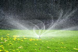 Memasang Sprinkler di Taman Rumah