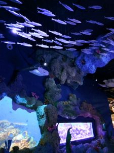 jakarta aquarium