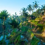 Asyiknya Berwisata Keliling Indonesia Sekeluarga   